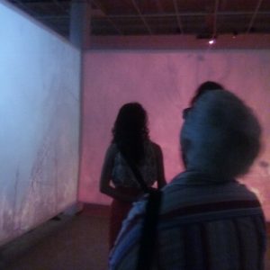 A series of screens that enclose the viewer in a 'u' shaped space have video projections of a forest fire