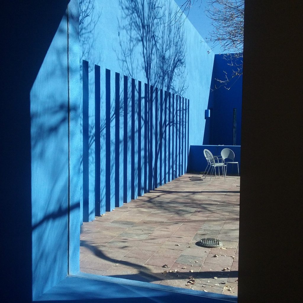 A modern sleek courtyard design with bright blue stucco and the shadow of bare trees on the left wall