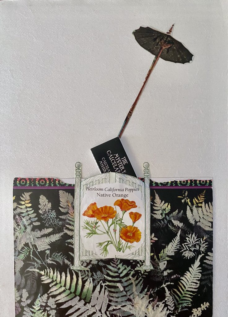 A small dark umbrella tilts to the right and sits above a small black card tilted left with white text that reads "THE MYSTERY CALCULATOR" which sits in part of a seed packet for Heirloom California Poppies, Native Orange. Under the seed packet is a deep horizontal band of white ferns scattered in a random pattern over a dark background.